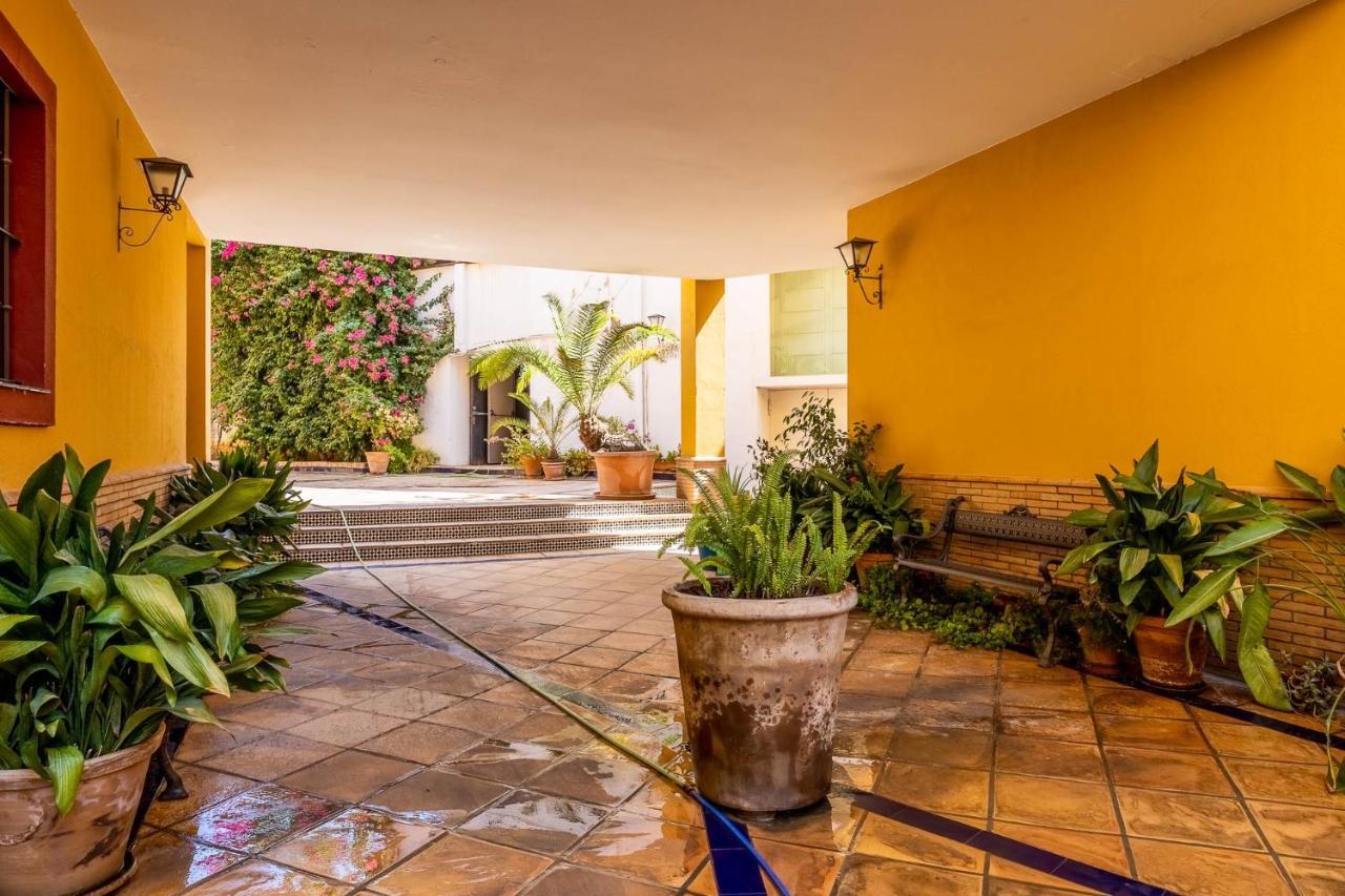 Appartement Apartamento Reposo Alameda De Hercules Free Parking *