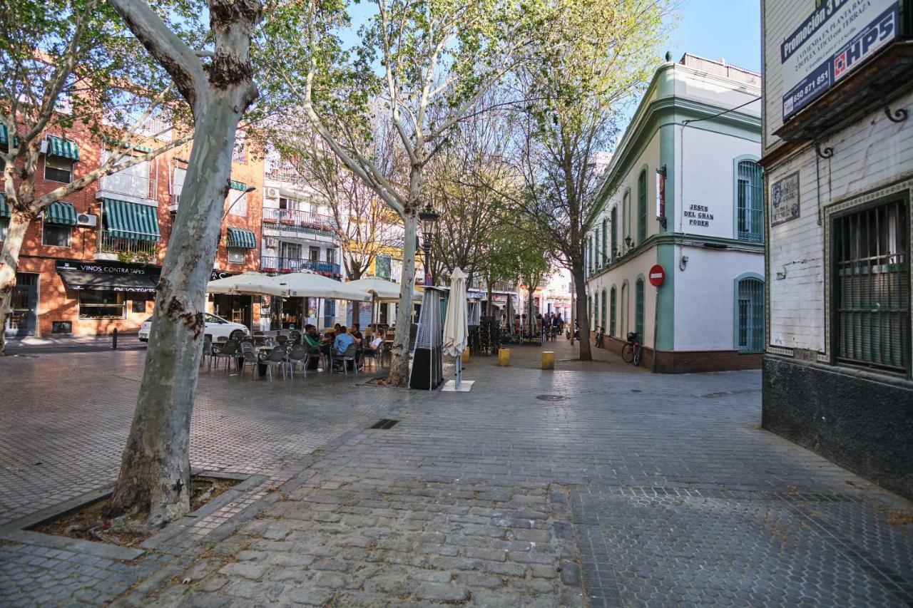 Apartamento Reposo Alameda De Hercules Free Parking Appartement *